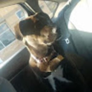 Meet your Posher, Meaghan